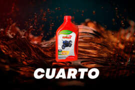 Camar-6