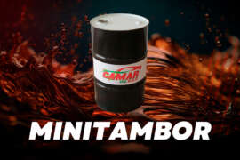 camar-9